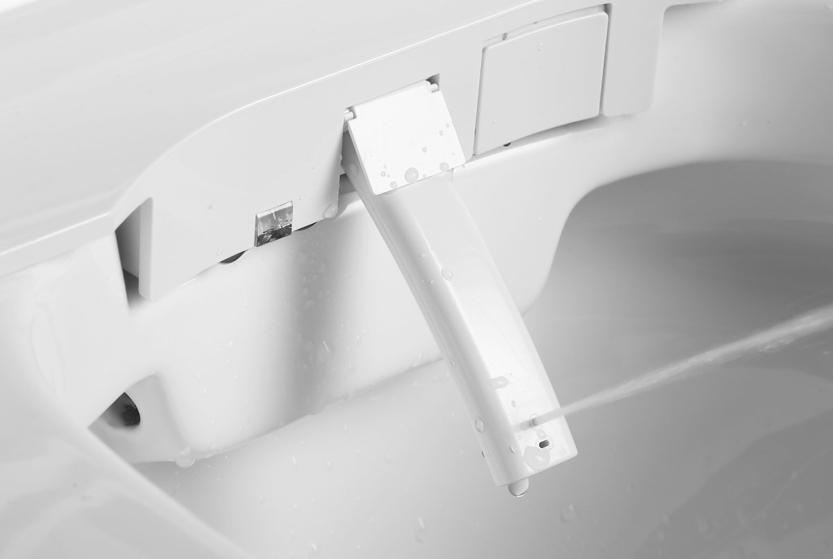 Sustainable Smart Toilets